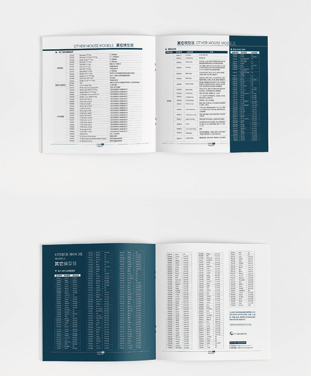 模型企業(yè)畫冊設計,模型企業(yè)畫冊設計公司