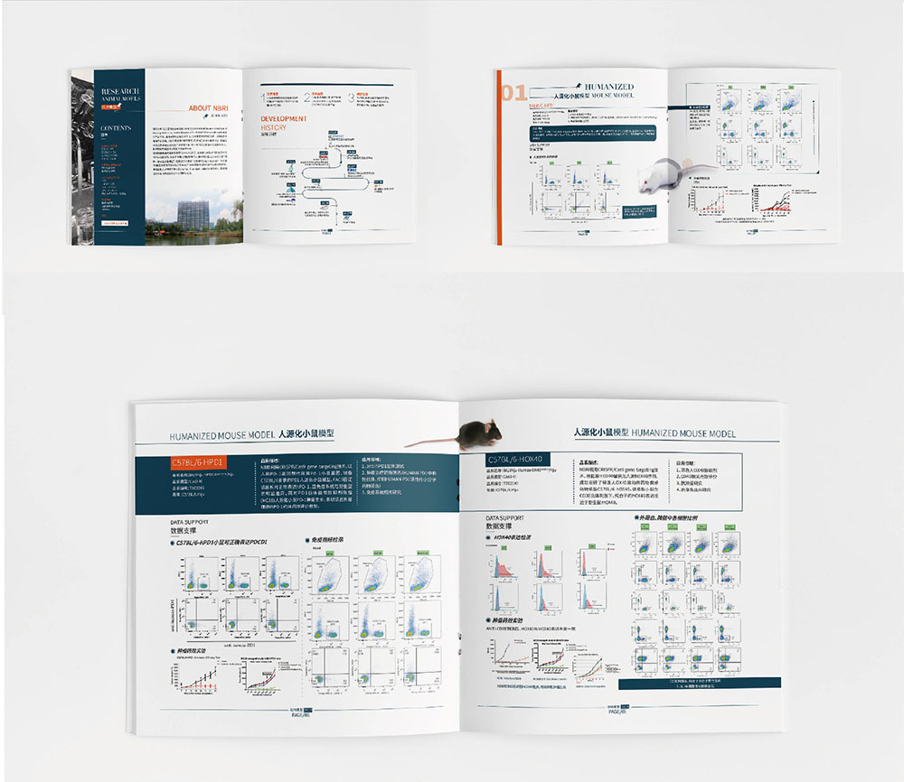 模型企業(yè)畫冊設計,模型企業(yè)畫冊設計公司